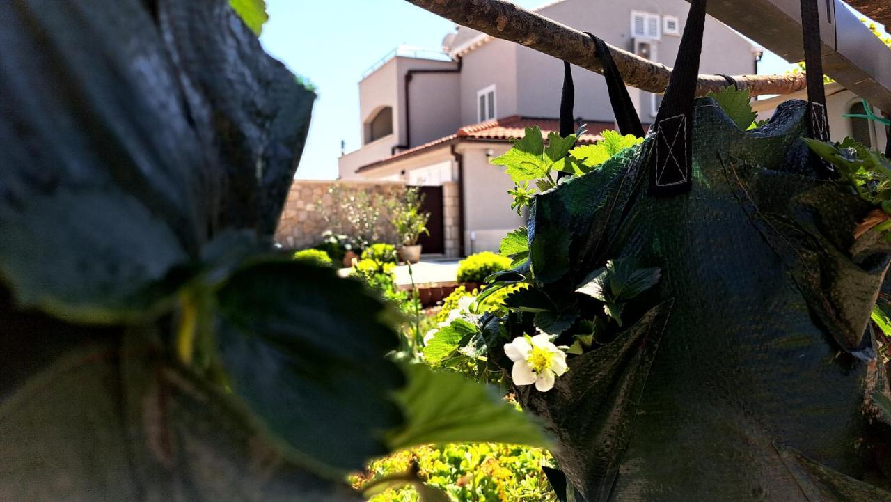 Dubrovnik Airport Apartment Tea Durovici Kültér fotó